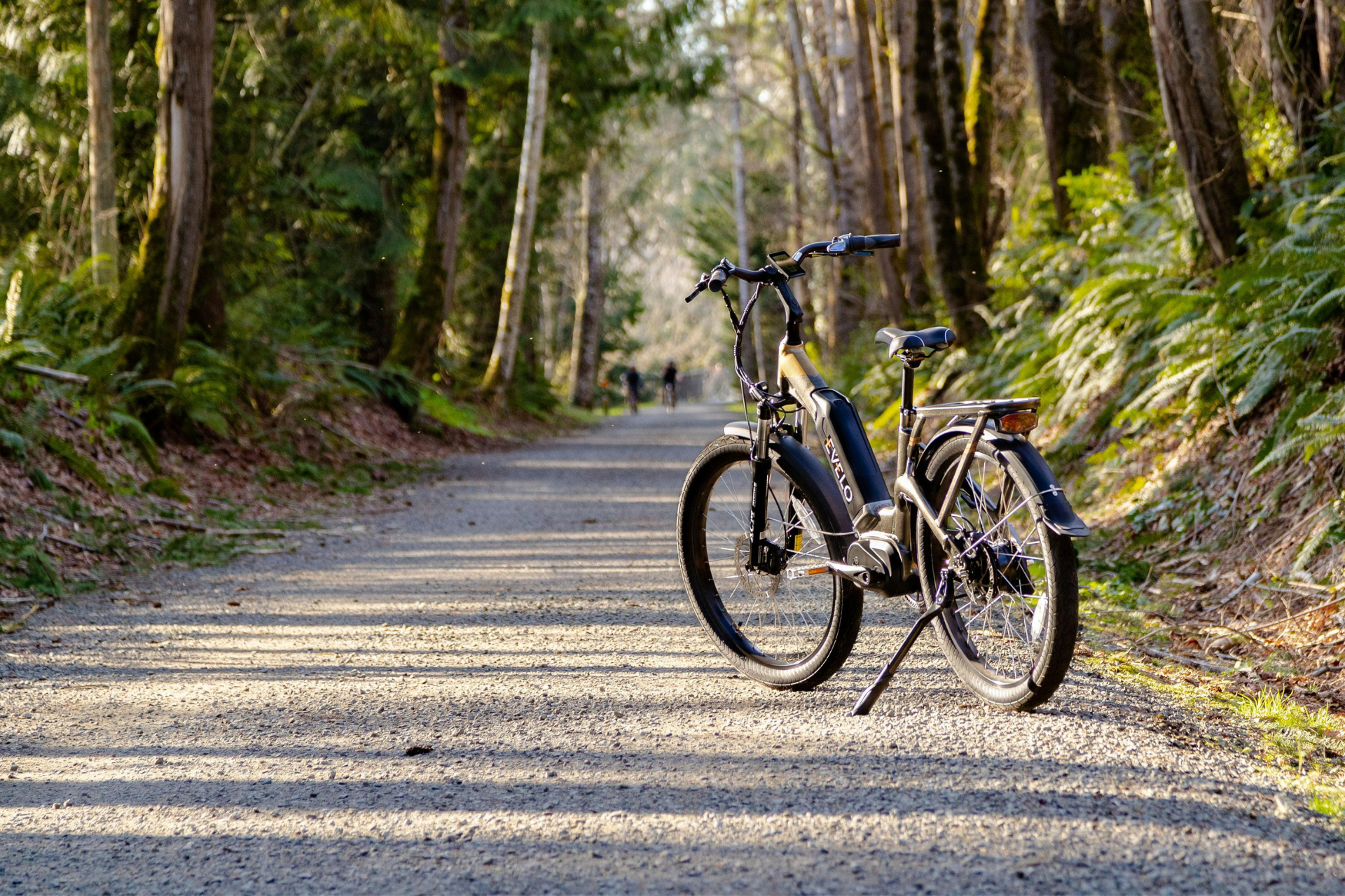 Electric bike rental