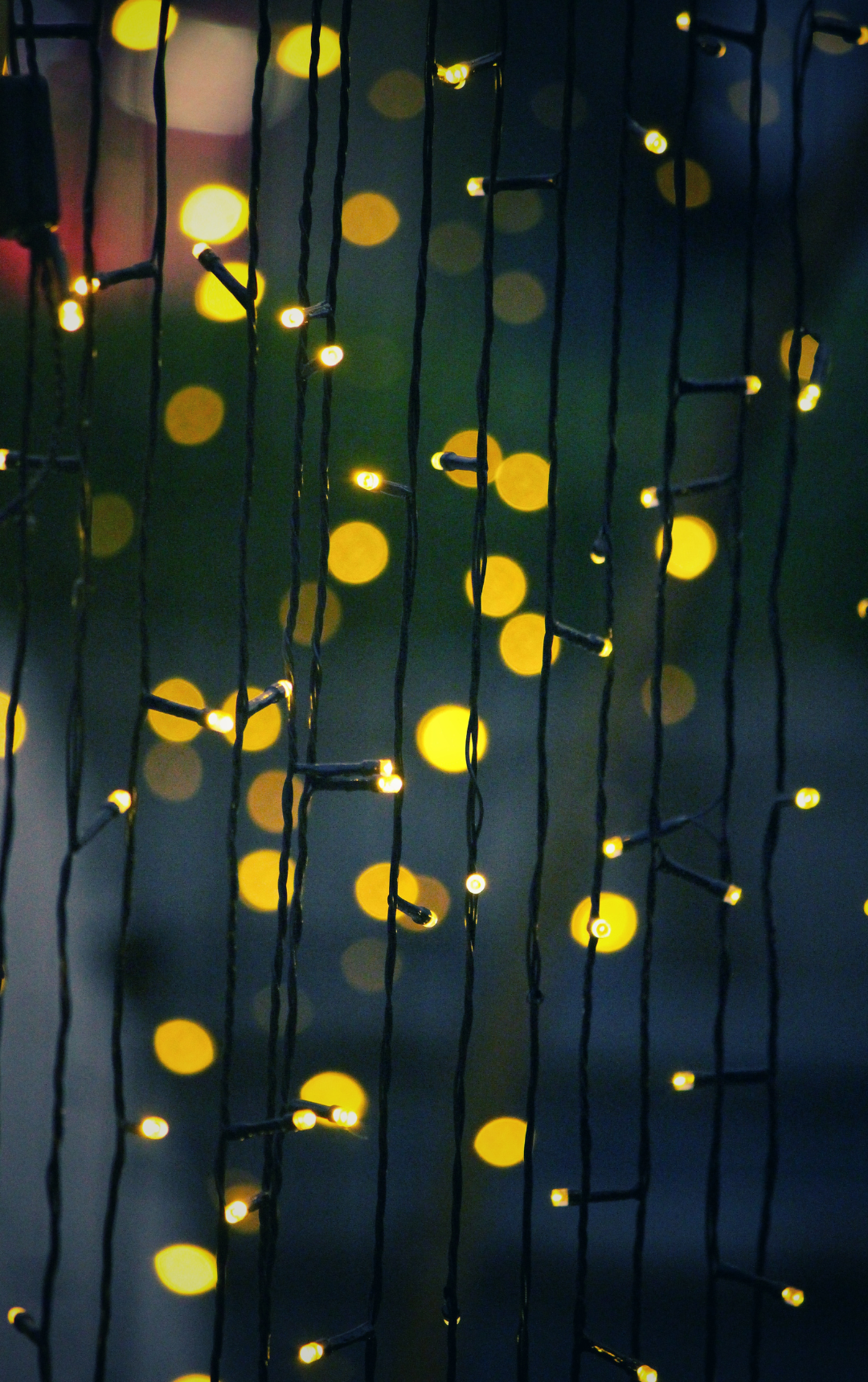 Varázslatos téli programok Gödöllőn!