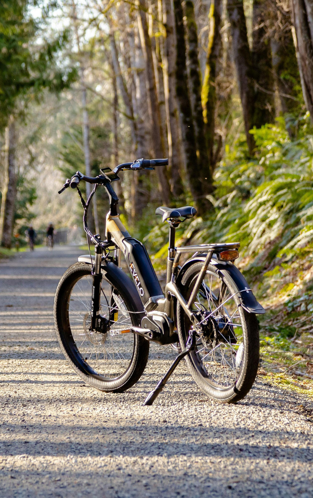 Electric bike rental