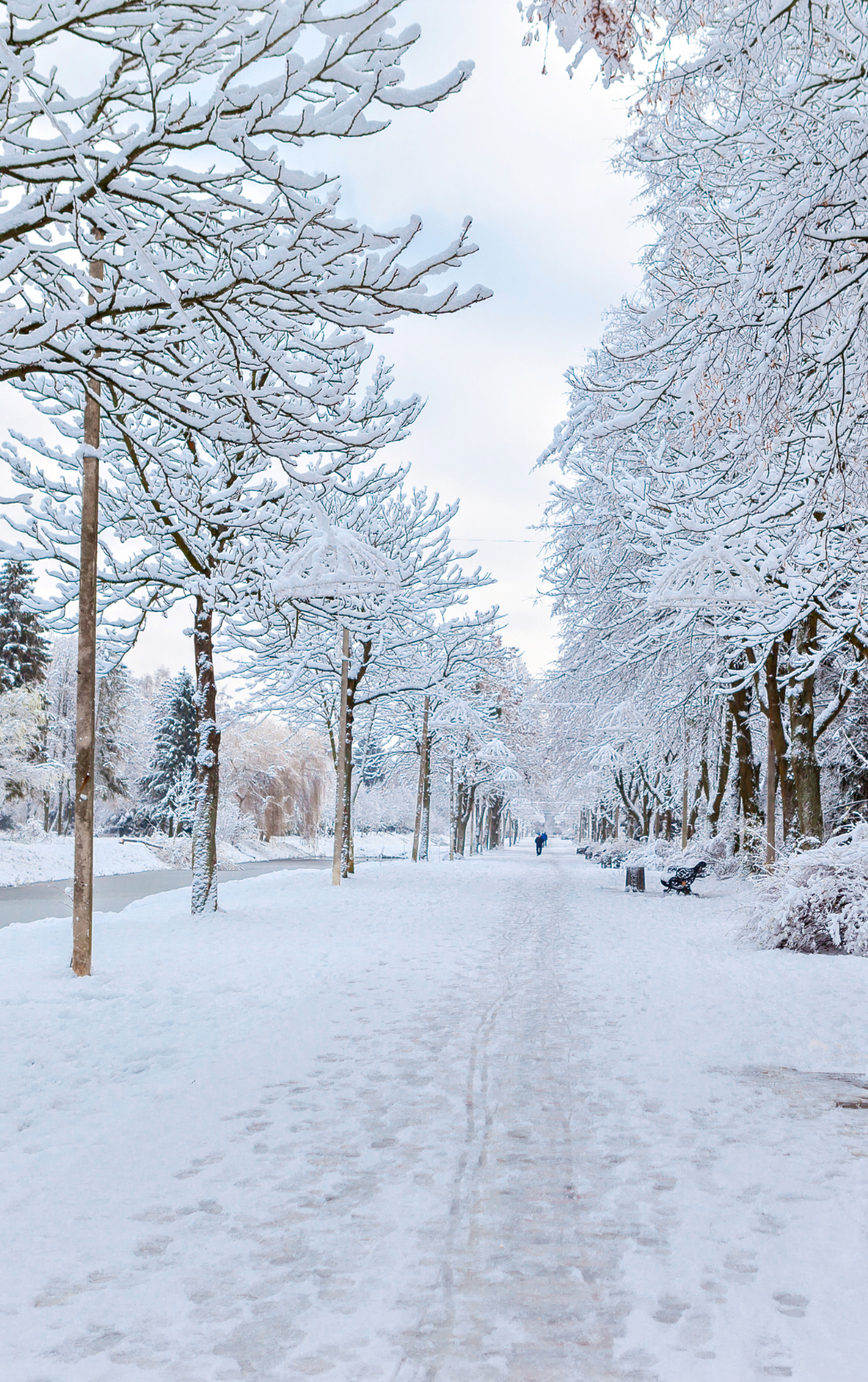 Téli hangulat Gödöllőn!